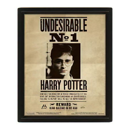 Comprar Cuadro 3D Harry Potter Sirius - Magia en tu Hogar!