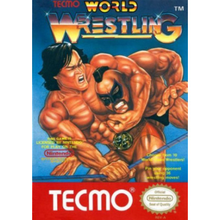 Videojuego Tecmo World Wrestling para Nintendo NES | RetroPlayZone